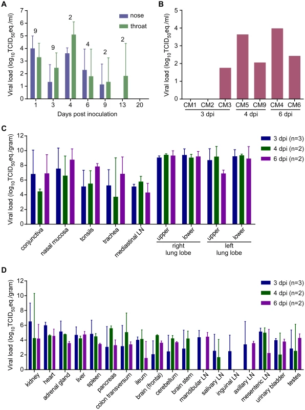 Viral load from marmosets inoculated with MERS-CoV in nasal and throat swabs (A), blood (B) and tissues (C,D).