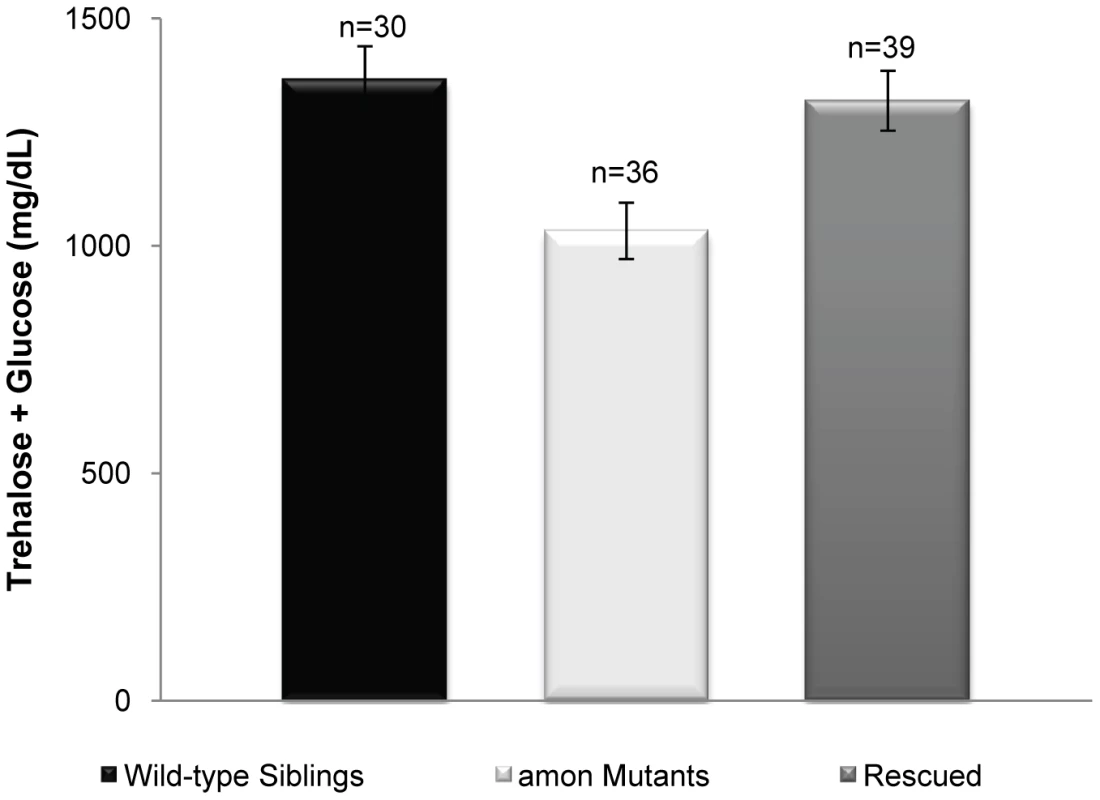 Expression of <i>amon</i> in the AKH cells of an <i>amon<sup>C241Y</sup></i> mutant is sufficient to rescue hypoglycemia.