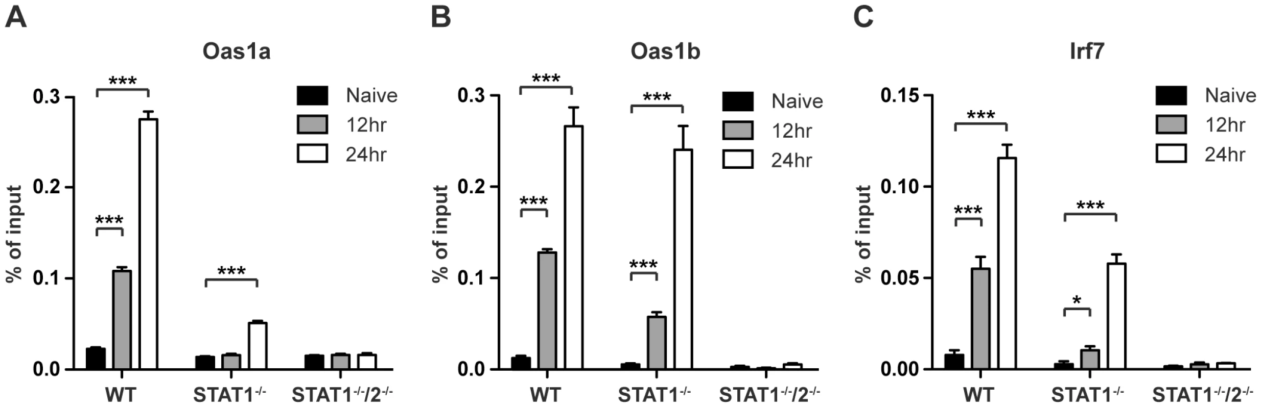 Association of STAT2 protein with ISG promoters.