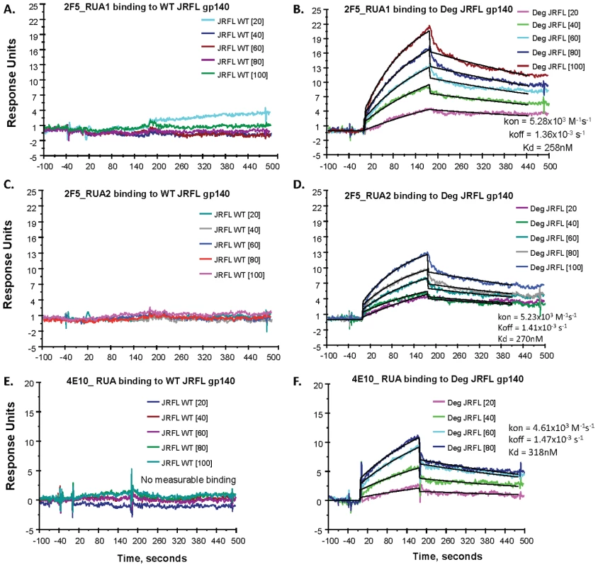 SPR measurements of binding of inferred RUAs of 2F5 and 4E10 to WT glycosylated and natively deglycosylated JRFL gp140 Env proteins.