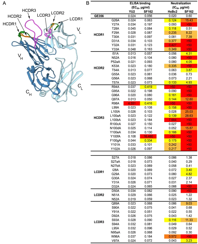 Representation of the GE356 Fab crystal structure and paratope mapping analysis.