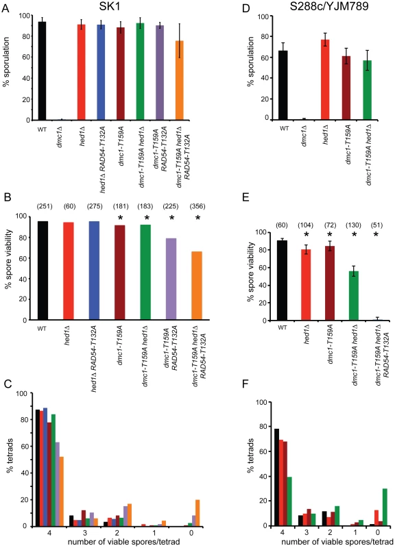 Characterization of various meiotic phenotypes in diploids containing <i>dmc1-T159A</i>.