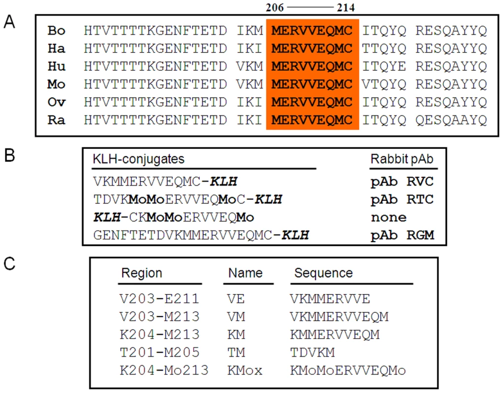 Helix-3 sequences.
