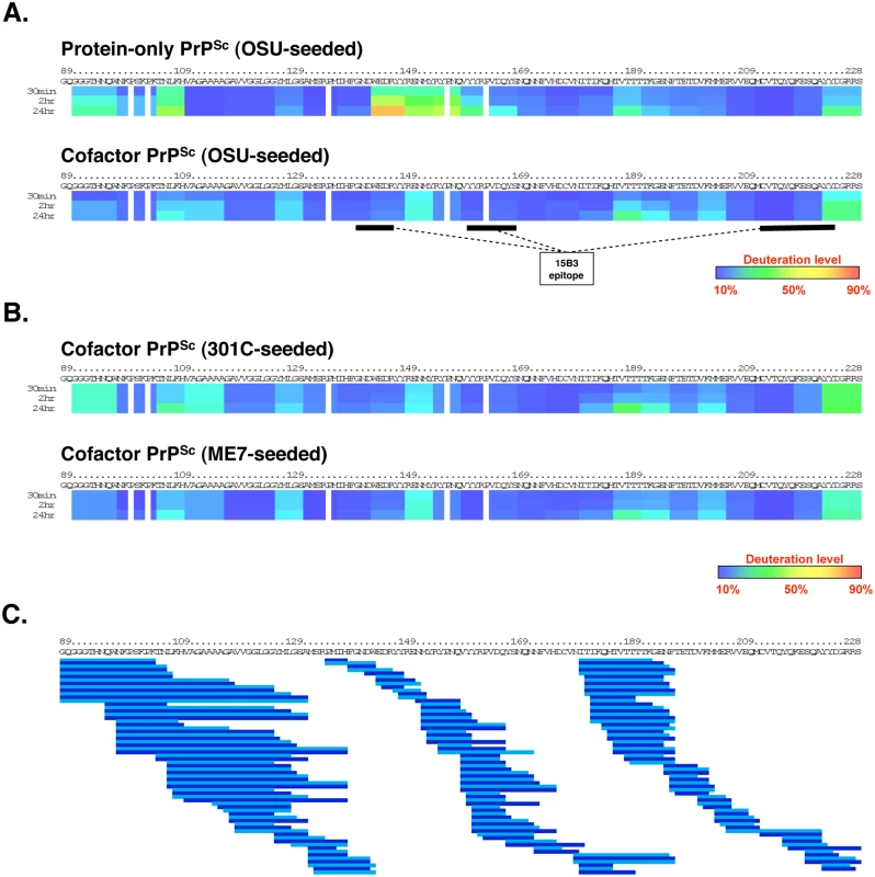 Regional solvent accessibility of cofactor and protein-only PrP<sup>Sc</sup> conformers.