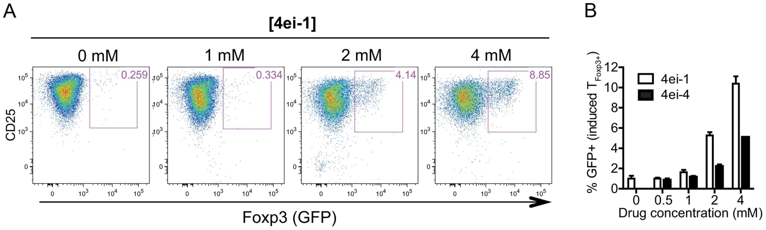 Inhibition of eIF4E activity results in spontaneous induction of Foxp3 expression in activated T<sub>Foxp3−</sub> cells.