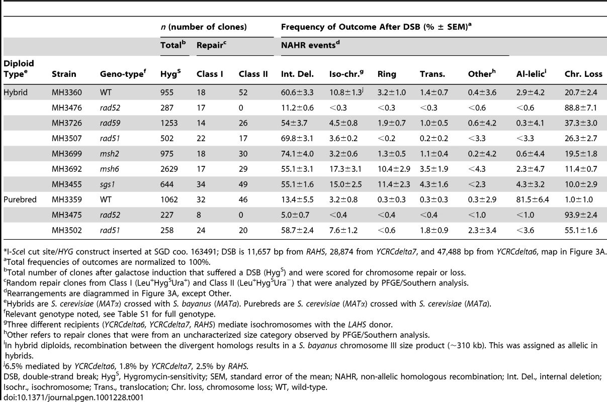 Frequencies of outcomes after an I-<i>Sce</i>I-induced DSB at 163cs<em class="ref">*</em> on <i>S. cerevisiae</i> chromosome III in wild-type and recombination mutants.