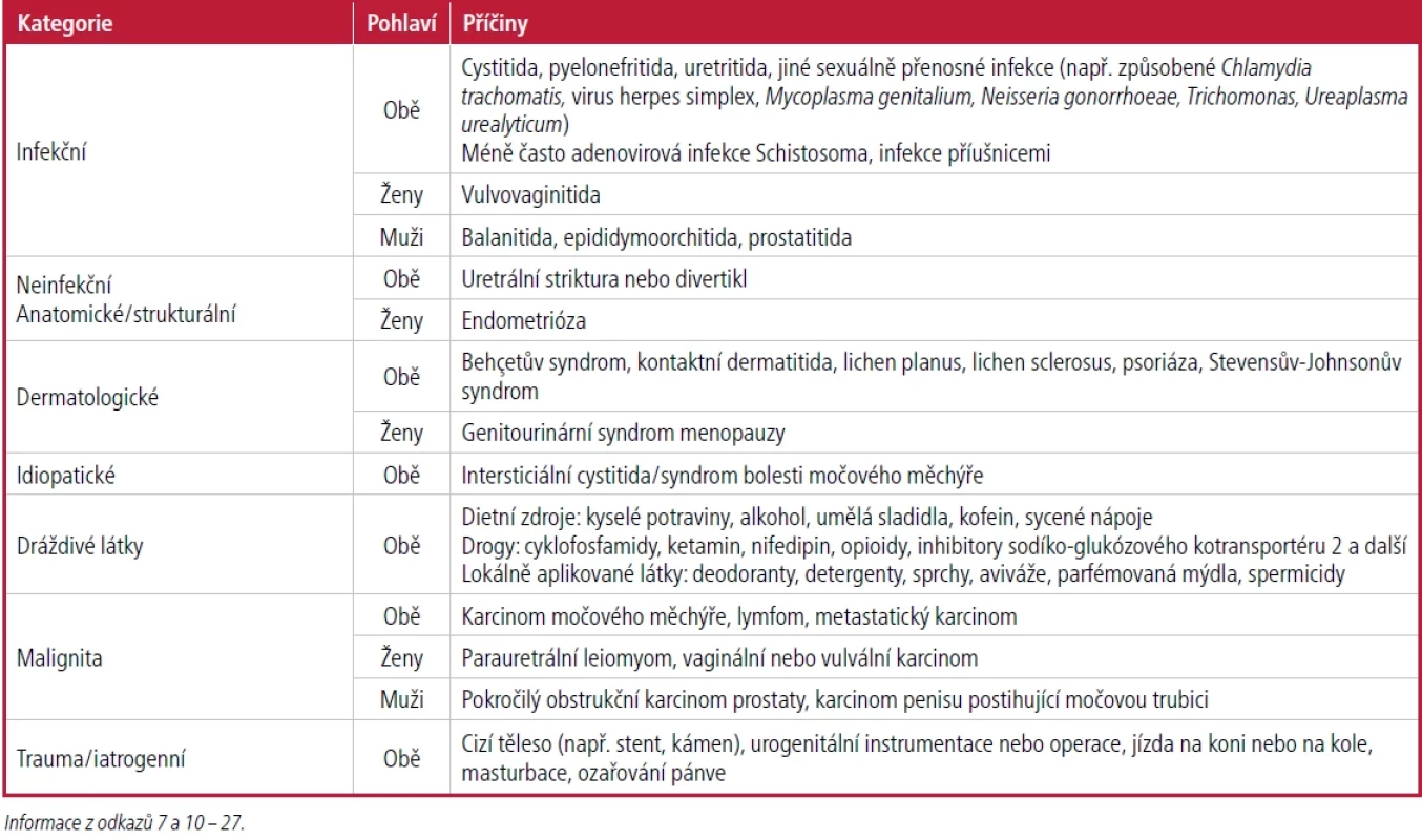 Diferenciální diagnostika dysurie u dospělých