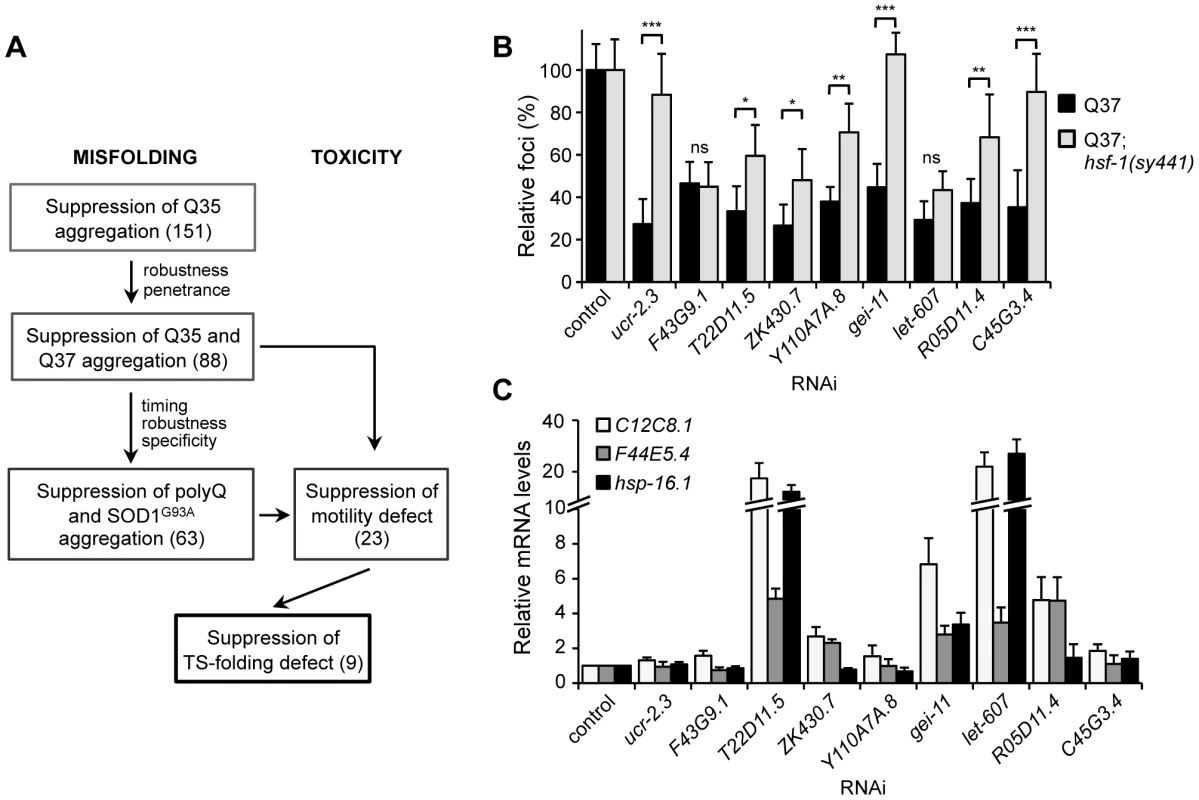 Core PN modifiers and activation of the heat shock response.