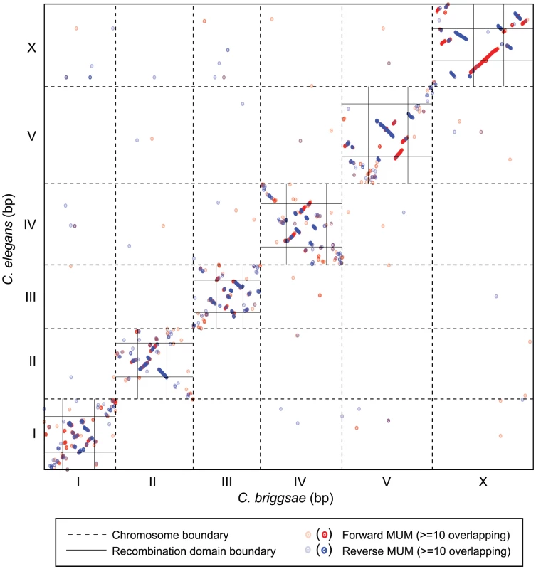 Chromosome synteny between <i>C. elegans</i> and <i>C. briggsae</i>.
