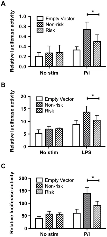 The regulatory element containing the TT>A variants demonstrates enhancer activity.