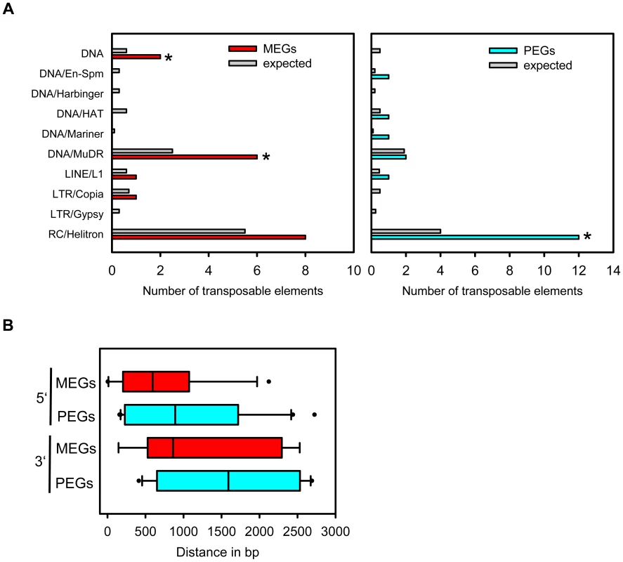 Types of Transposable Elements in the Vicinity of MEGs and PEGs.
