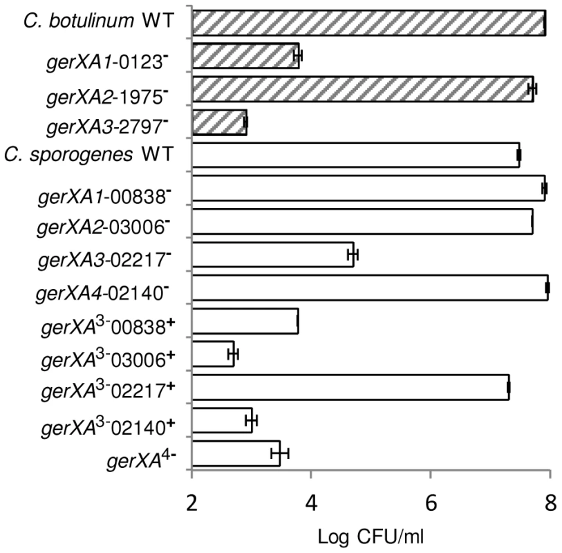 Capacity of WT or mutant spores to germinate and form colonies.