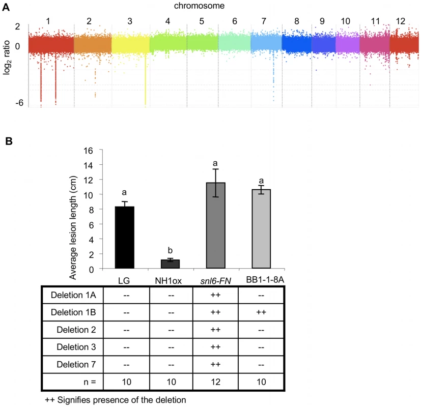 <i>Snl6</i> segregates with deletion 1B.