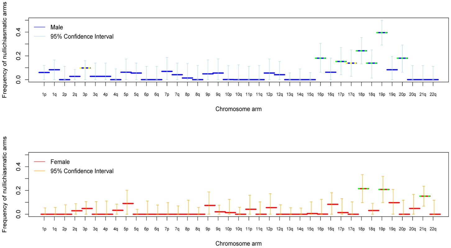 For each chromosomal arm, the estimated fraction of bivalents that segregated properly without a chiasma, in male (blue) and female (red) transmissions.