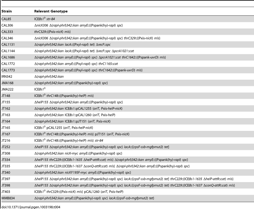 Strains and plasmids.