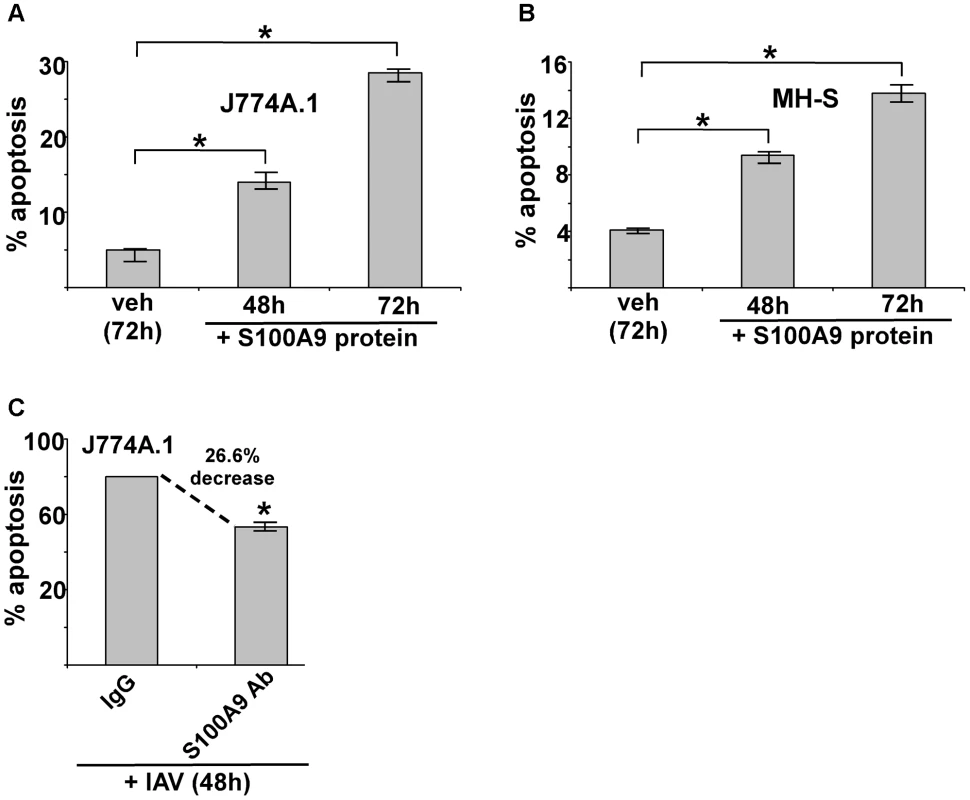 Extracellular S100A9 protein triggers apoptosis in macrophages and S100A9 regulates apoptosis during IAV infection.