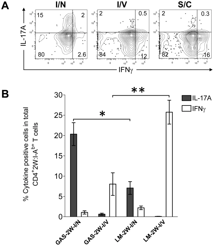 Route of inoculation determines the Th17 phenotype to GAS infection.