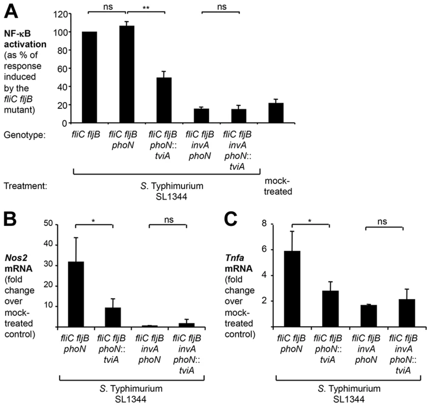 TviA reduces T3SS-1-dependent, flagellin-independent inflammatory responses in the cecal mucosa.