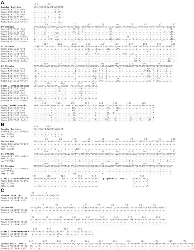 Amino acid sequence alignments for KIR alleles cloned from a rhesus macaque with a tetramer-positive NK cell population in peripheral blood.
