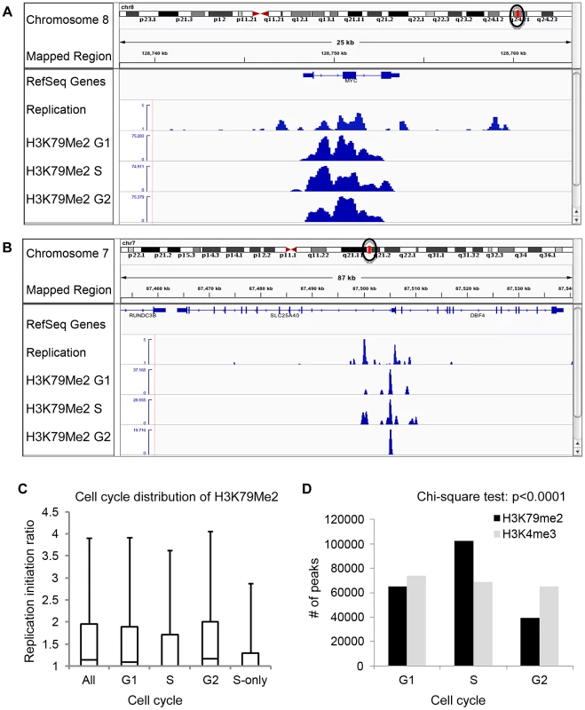 Preferential enrichment of initiation events in H3K79Me2 containing chromatin at the G1 and G2 phases of the cell cycle.
