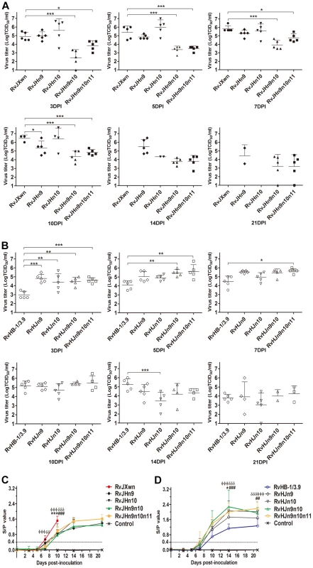 Viral loads and antibody kinetics in the sera of piglets inoculated with the rescued viruses.