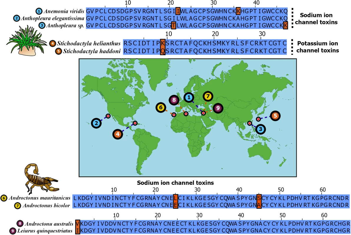 Remarkable sequence conservation in distantly related toxins.