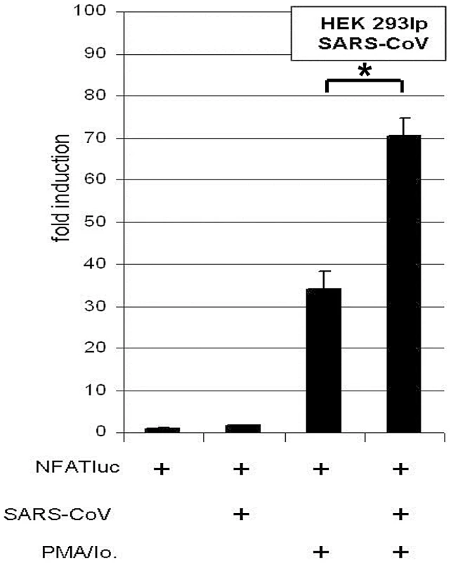 SARS-CoV isolate “Hongkong” induces NFAT-regulated gene expression.