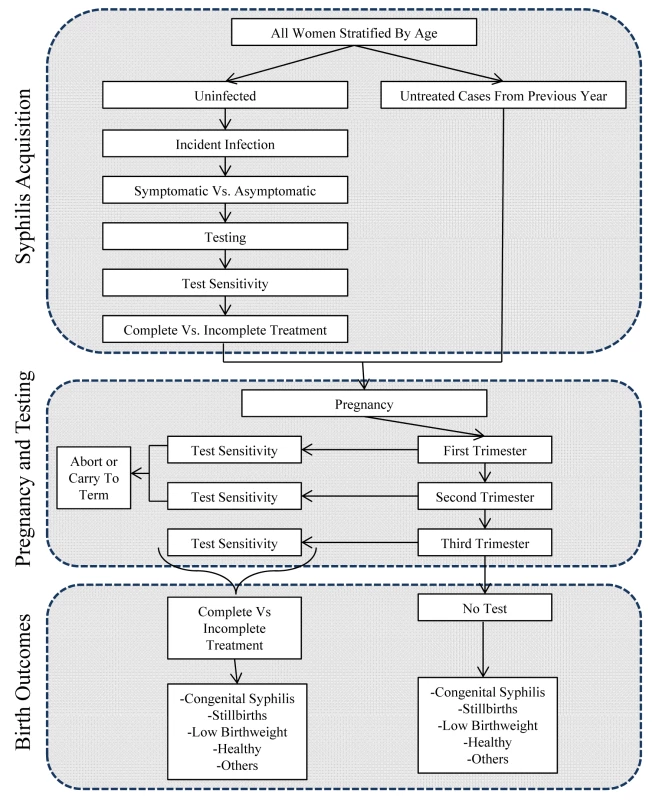 Decision analytic model.