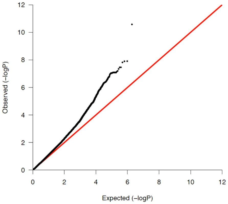 QQ-plot of all previously unassociated regions in the combined meta-analysis discovery cohort.