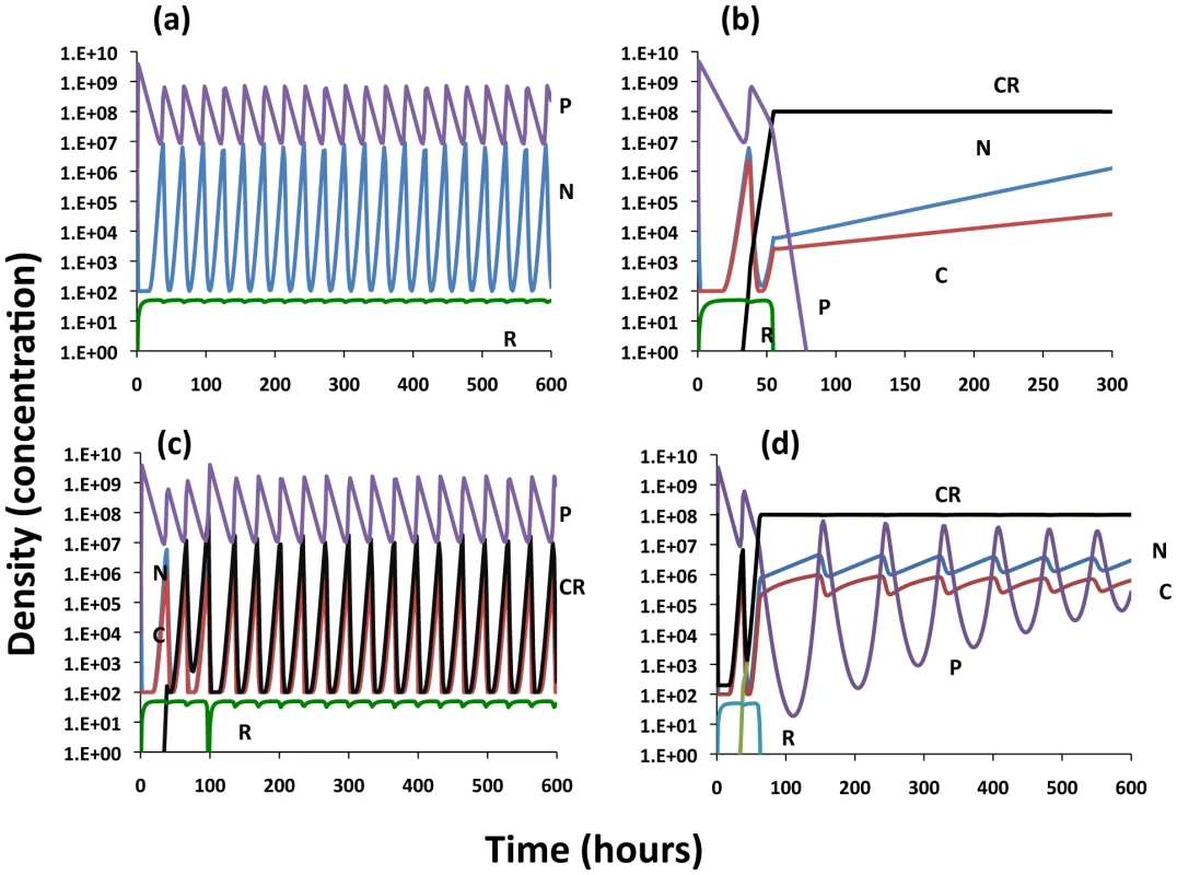 Population dynamics of lytic phage, <i>P</i>, with sensitive non–CRISPR bacteria, <i>N</i>, non-immune and immune CRISPR-encoding cells, C and C<sub>R</sub>, respectively.
