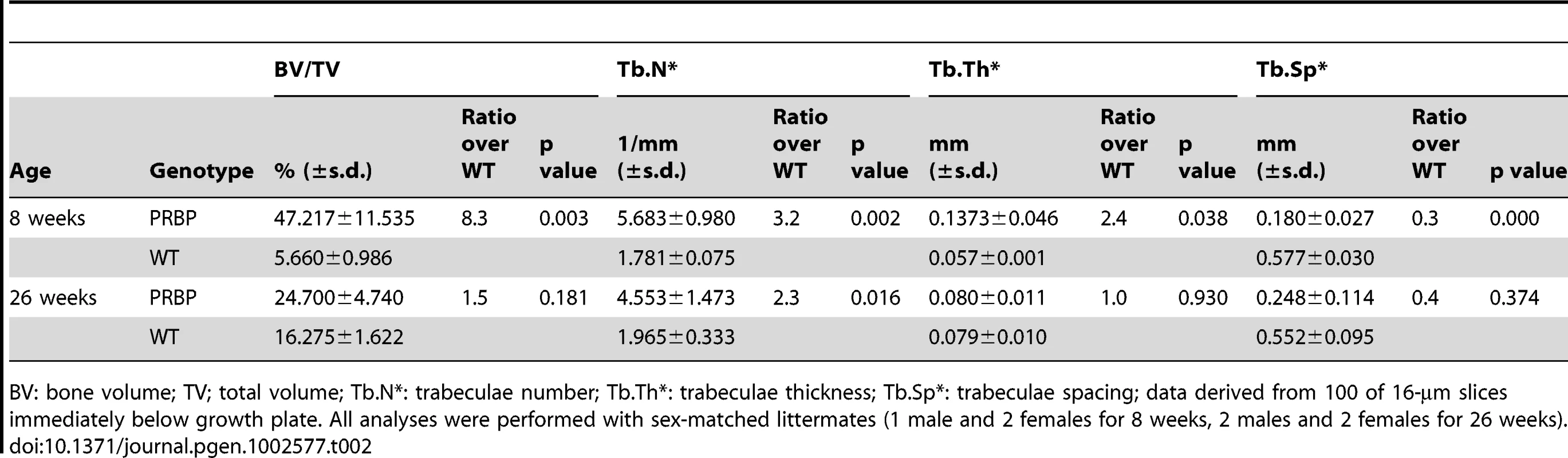 Age-dependent bone loss in PRBP mice.