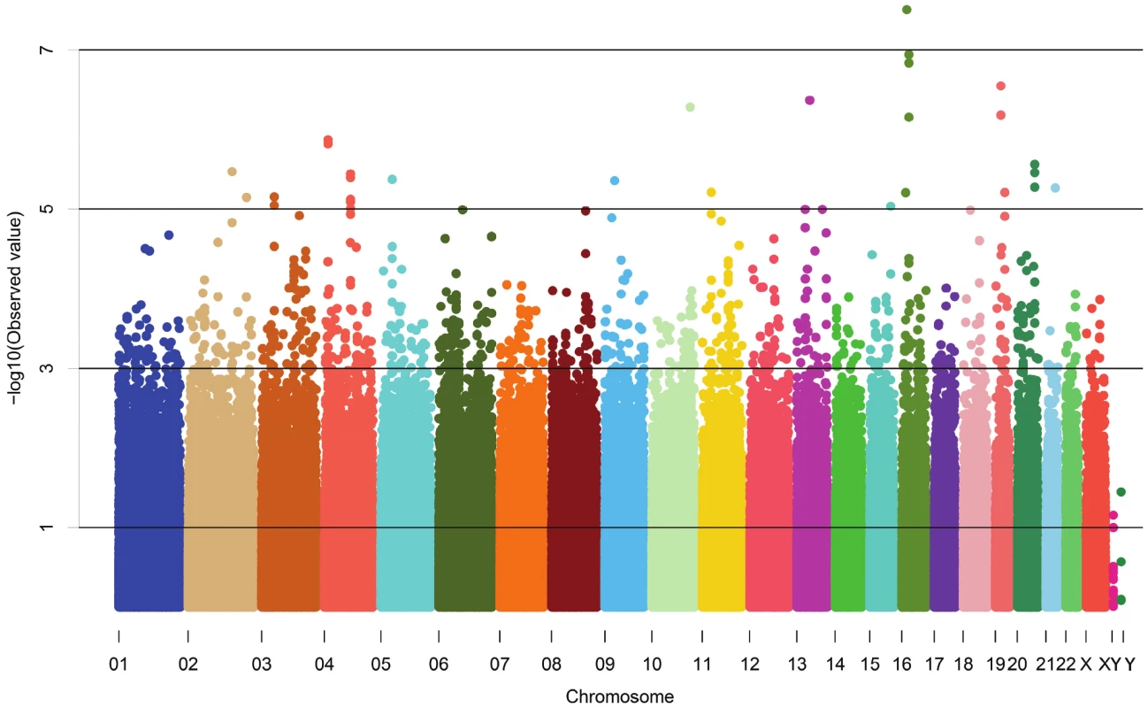 Manhattan plot of genomewide –log<sub>10</sub>(p-value) from association analysis of BP extremes in the discovery sample.