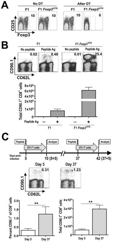 Shifts in Treg-mediated <i>in vivo</i> suppression during persistent <i>Salmonella</i> infection.