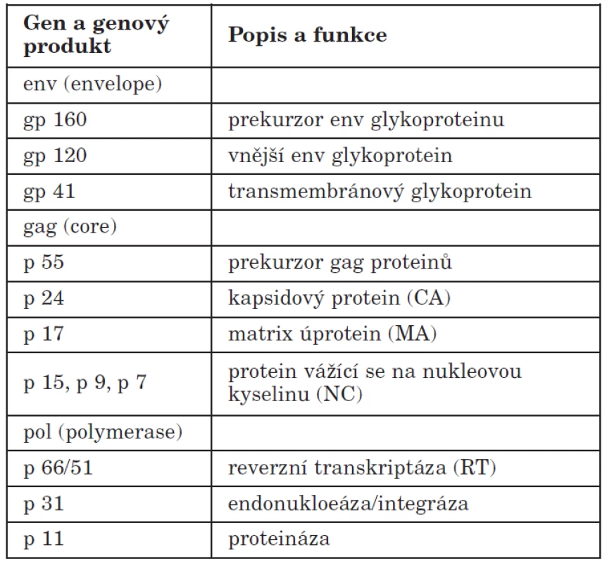 Strukturální geny HIV
Table 2. HIV structural genes