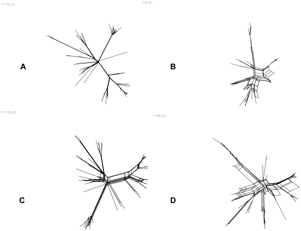Neighbour-net networks constructed using Splits Tree 4.0.