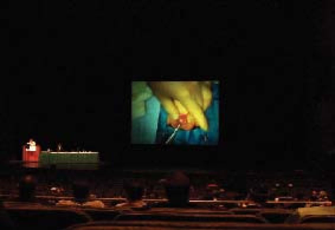 Videosekcia.