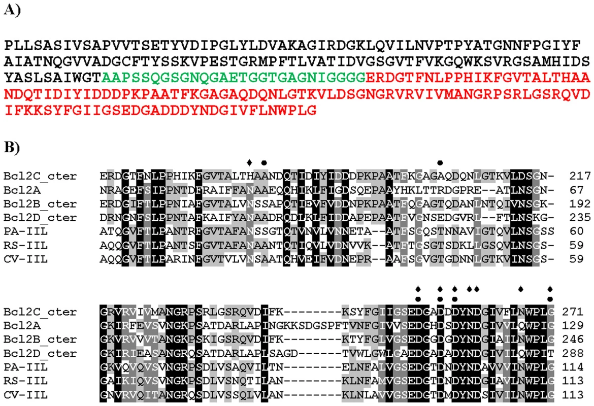 Sequence information.