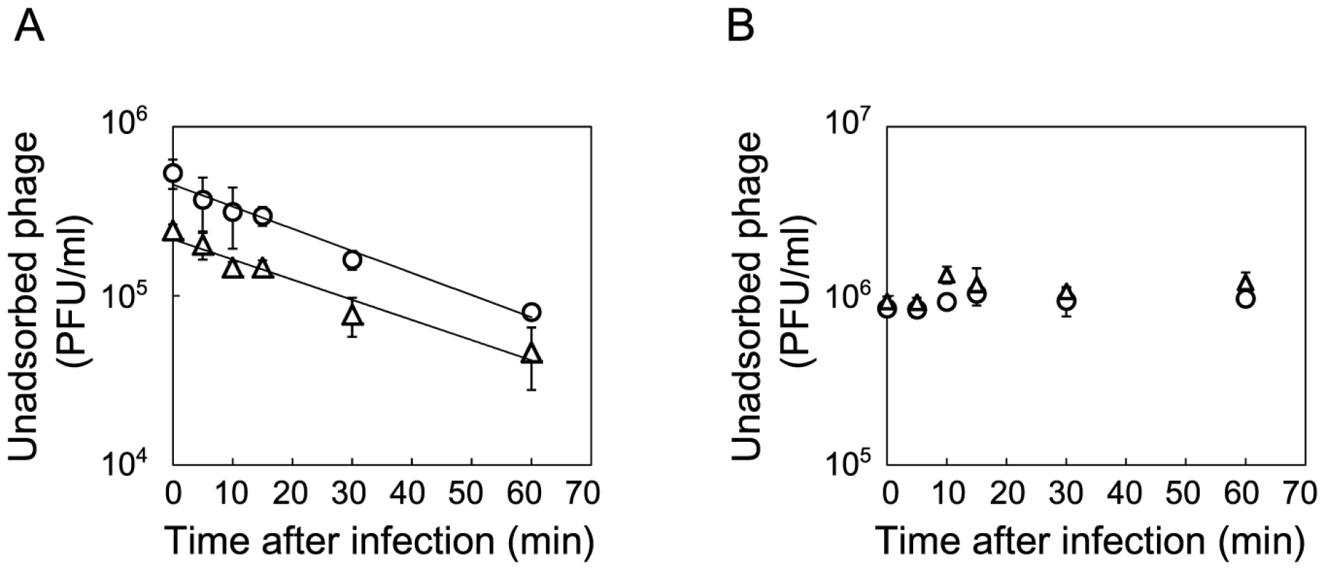 Adsorption rate constants of Anc(P) and M163(P).