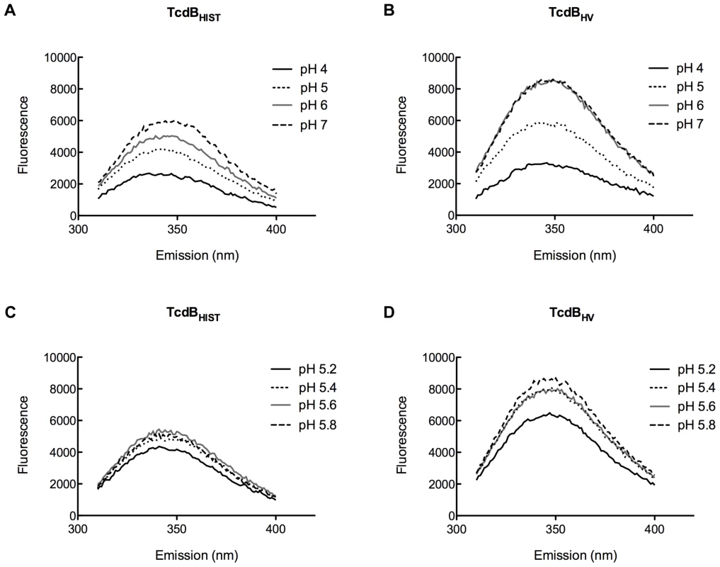 Tryptophan emission of TcdB<sub>HIST</sub> and TcdB<sub>HV</sub> at acidic and neutral pH.