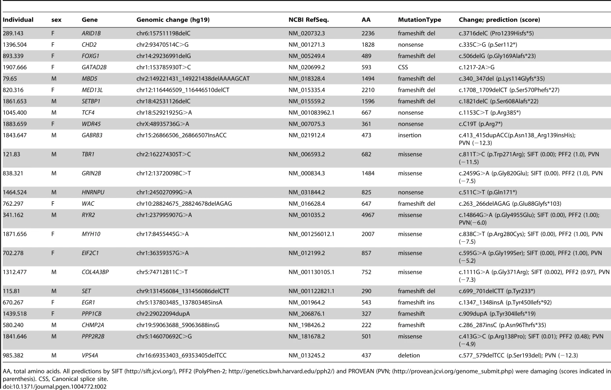Top risk DNMs identified in this study.
