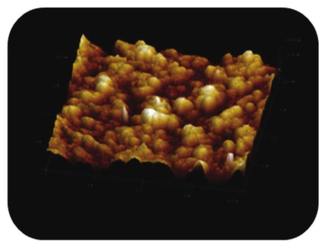 Trojrozměrné zobrazení AFM skenu detailu povrchu magnetického nosiče MPG-uncoated, režim zobrazení: výškový profil, skenovaná oblast 2x2 μm<sup>2</sup>, Z – rozsah 100 nm.