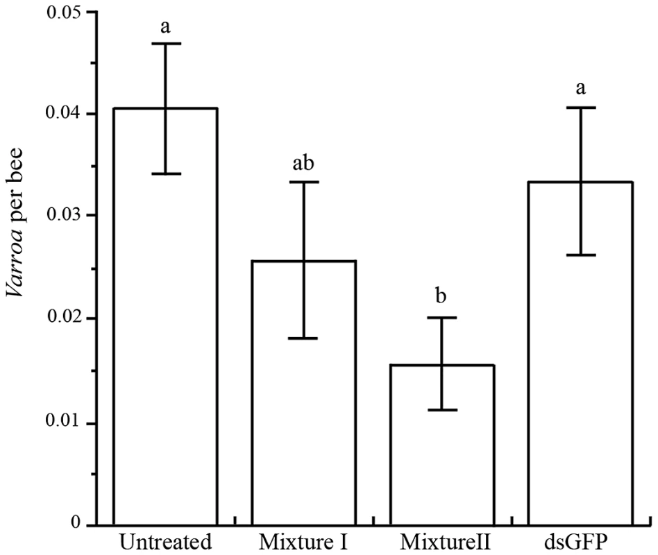 Mean (+ SE) number of <i>Varroa</i> mites per bee in four treatments.