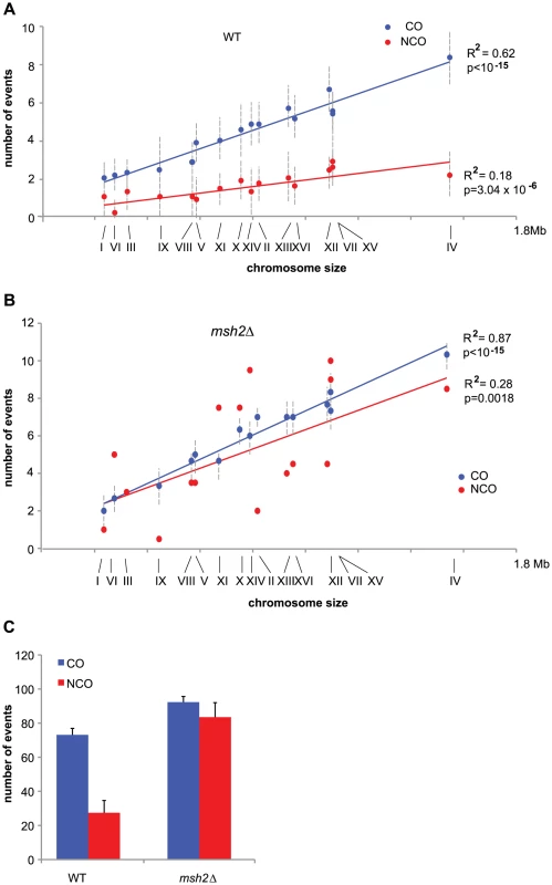 COs and NCOs in a SK1 × S288C hybrid in the presence and absence of MMR.
