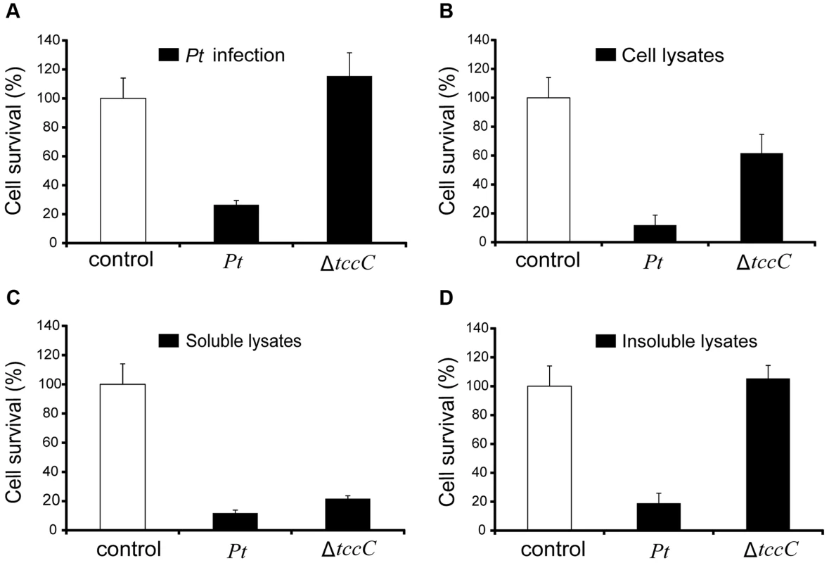 Toxicity of <i>P. taiwanensis</i> and various cell fractions on <i>Spodoptera frugiperda</i> Sf9 insect cells.