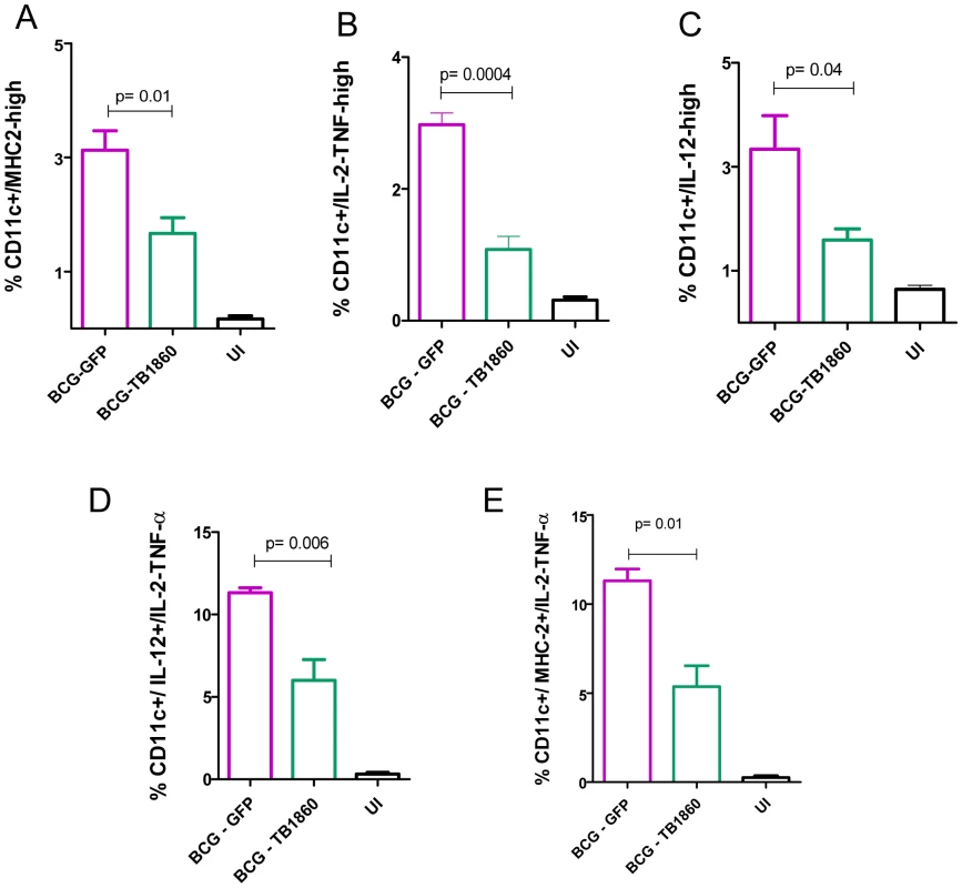 Analysis of spleen DC <i>ex vivo</i> from infected mice.