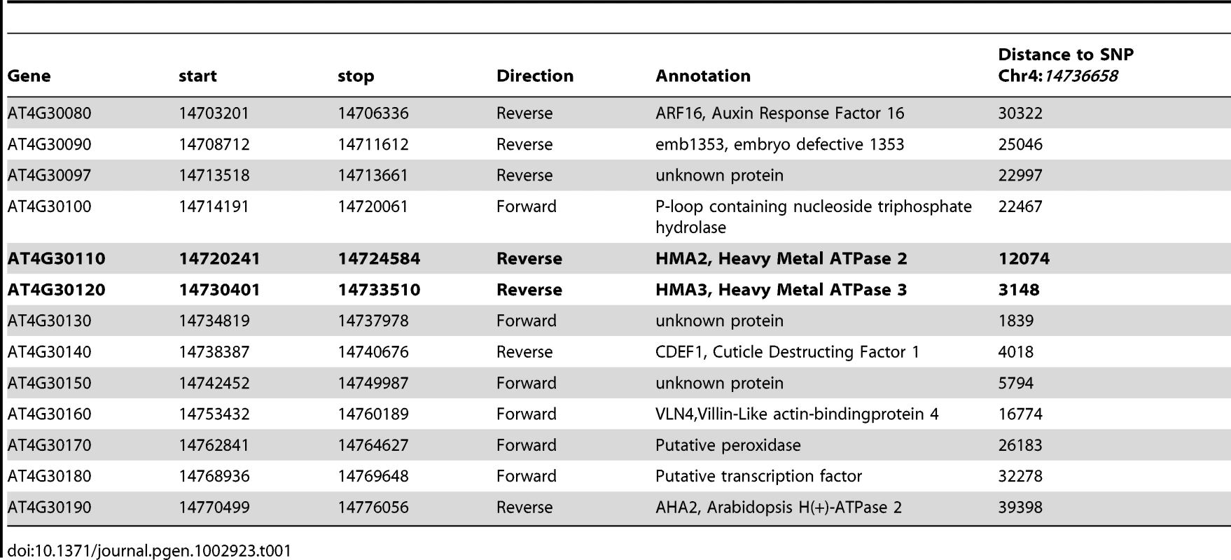 Genes within 40 kb of the SNP most highly associated with leaf Cd.