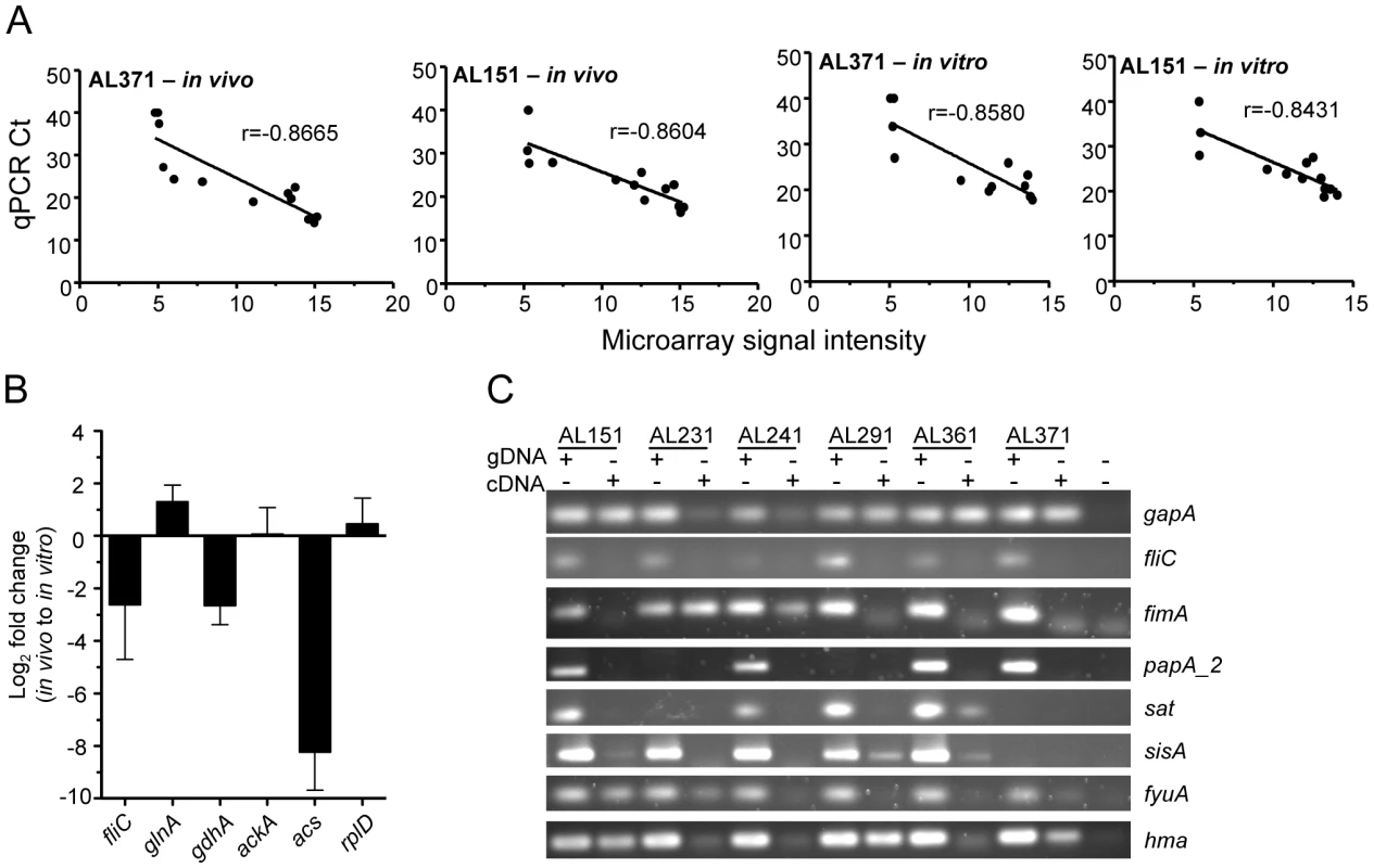 <i>E. coli</i> gene expression in voided urine from cystitis patients and culture in urine <i>ex vivo</i>.