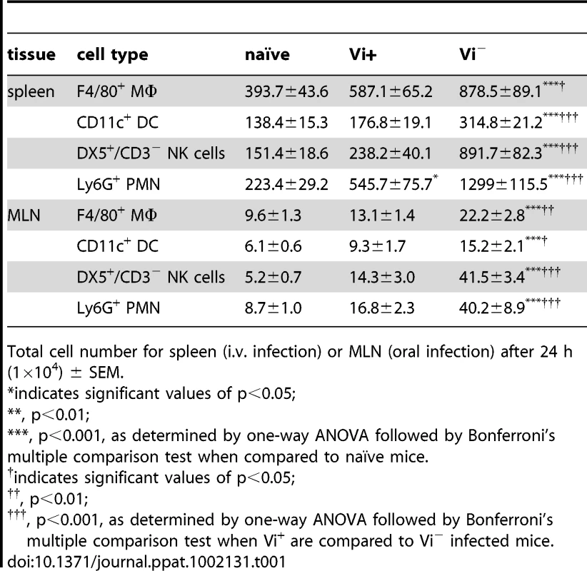 Innate cell numbers after infection with Vi<sup>+</sup> or Vi<sup>−</sup> <i>S.</i> Typhimurium.