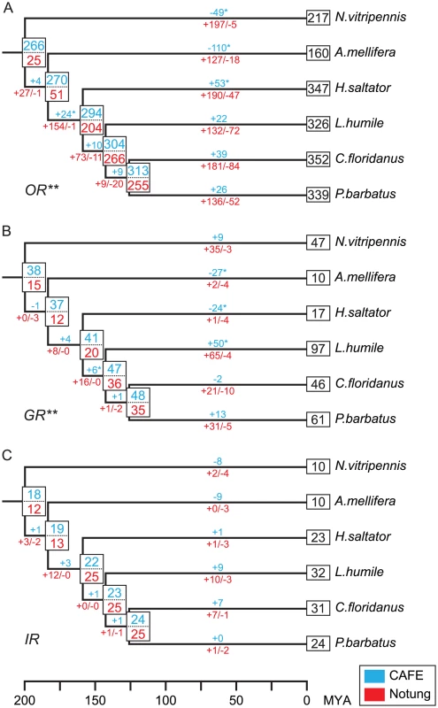 Estimated numbers of gene birth-and-death events and ancestral gene copies for chemosensory gene families.