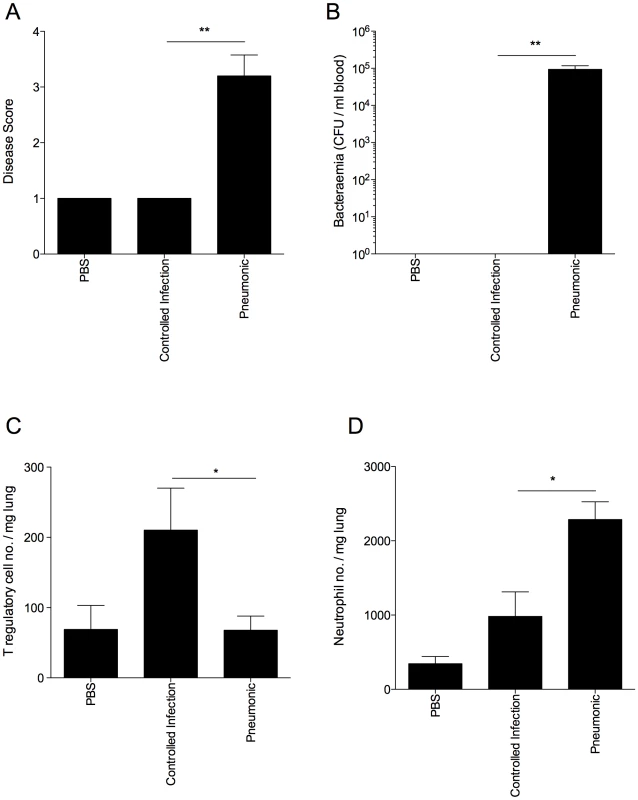 Disease resistance in outbred MF1 mice correlates with strong T regulatory cell responses in the lung.